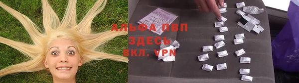 гашик Яранск