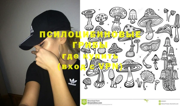 гашик Яранск