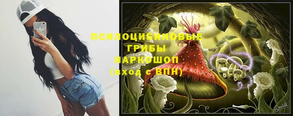 молекула духа Янаул