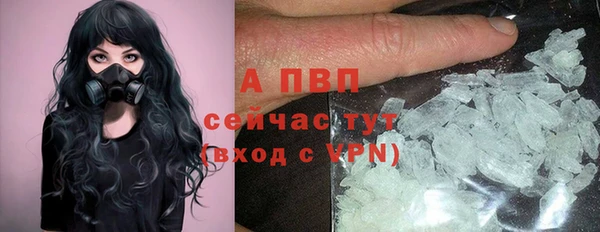 гашик Яранск